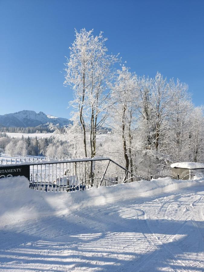 Apartamenty Bachledzki Wierch Zakopane Exterior photo